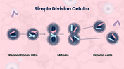 301611-biology-subject-for-high-school-cell-division-07
