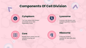 301611-biology-subject-for-high-school-cell-division-08