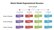 301613-matrix-model-organizational-structure-01