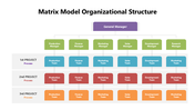 301613-matrix-model-organizational-structure-02