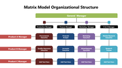 301613-matrix-model-organizational-structure-03