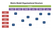 301613-matrix-model-organizational-structure-05