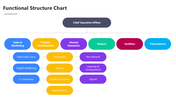 301619-functional-organization-structure-diagram-02