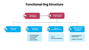 301620-functional-org-structure-03