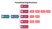 301620-functional-org-structure-05