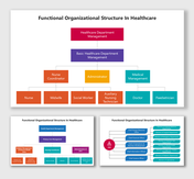 Functional Organizational Structure In Healthcare with roles, color boxes, hierarchy, and flow.