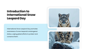 301656-international-snow-leopard-day-02