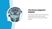 301656-international-snow-leopard-day-03