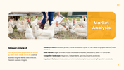 301743-chicken-farming-business-plan-05