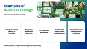 301792-business-ecology-09