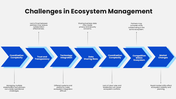301795-business-ecosystem-management-09