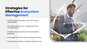 301795-business-ecosystem-management-11