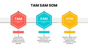 301899-tam-sam-som-template-free-03