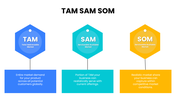 301899-tam-sam-som-template-free-04