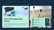 301910-chromatography-04