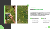 301923-normalized-difference-vegetation-index-03