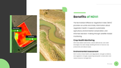 301923-normalized-difference-vegetation-index-06