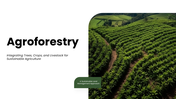 301925-agroforestry-01