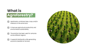 301925-agroforestry-02