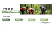 301925-agroforestry-04