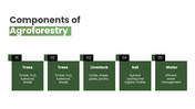 301925-agroforestry-05