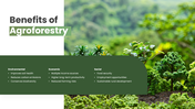 301925-agroforestry-06