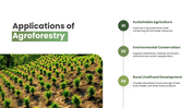 301925-agroforestry-08