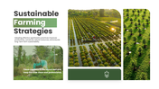 301925-agroforestry-09