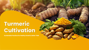 301938-turmeric-cultivation-01