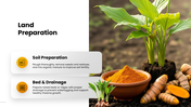 301938-turmeric-cultivation-04