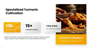 301938-turmeric-cultivation-09