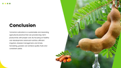 301939-tamarind-cultivation-10