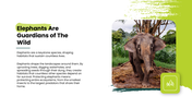 Elephant in a dry savannah landscape with a text box on the right reading world elephant day, August 12. - slide 3