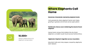 Elephant in a dry savannah landscape with a text box on the right reading world elephant day, August 12. - slide 4