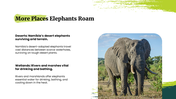 Elephant in a dry savannah landscape with a text box on the right reading world elephant day, August 12. - slide 5