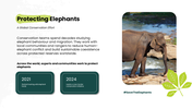 Elephant in a dry savannah landscape with a text box on the right reading world elephant day, August 12. - slide 7