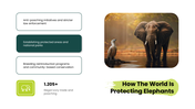 Elephant in a dry savannah landscape with a text box on the right reading world elephant day, August 12. - slide 8