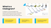 301944-cladograms-02