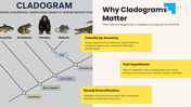 301944-cladograms-03