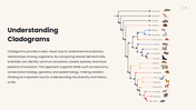 301944-cladograms-10