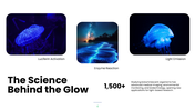 Explore bioluminescence, its chemistry, glowing organisms, research methods, and scientific applications. - slide 4