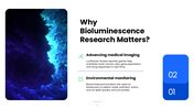 Explore bioluminescence, its chemistry, glowing organisms, research methods, and scientific applications. - slide 5
