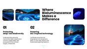 Explore bioluminescence, its chemistry, glowing organisms, research methods, and scientific applications. - slide 6
