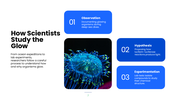 Explore bioluminescence, its chemistry, glowing organisms, research methods, and scientific applications. - slide 7