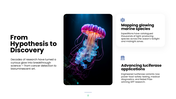 Explore bioluminescence, its chemistry, glowing organisms, research methods, and scientific applications. - slide 8