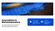 Explore bioluminescence, its chemistry, glowing organisms, research methods, and scientific applications. - slide 10