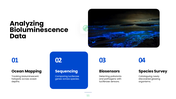 Explore bioluminescence, its chemistry, glowing organisms, research methods, and scientific applications. - slide 11