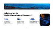 Explore bioluminescence, its chemistry, glowing organisms, research methods, and scientific applications. - slide 12