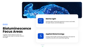 Explore bioluminescence, its chemistry, glowing organisms, research methods, and scientific applications. - slide 14