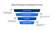 Explore bioluminescence, its chemistry, glowing organisms, research methods, and scientific applications. - slide 15